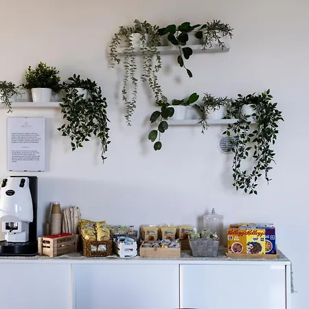 招待所 Kora Suites&pool 圣莱昂