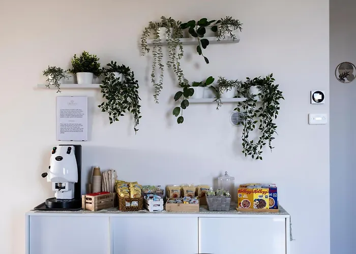 招待所 Kora Suites&pool 圣莱昂