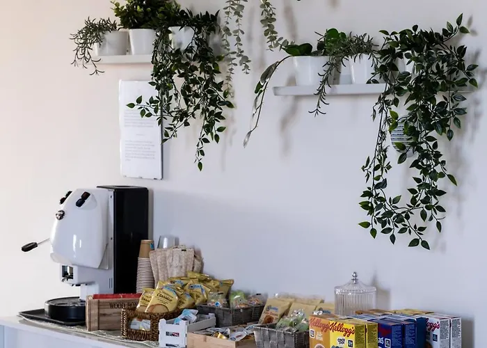 Kora Suites&pool 招待所 圣莱昂